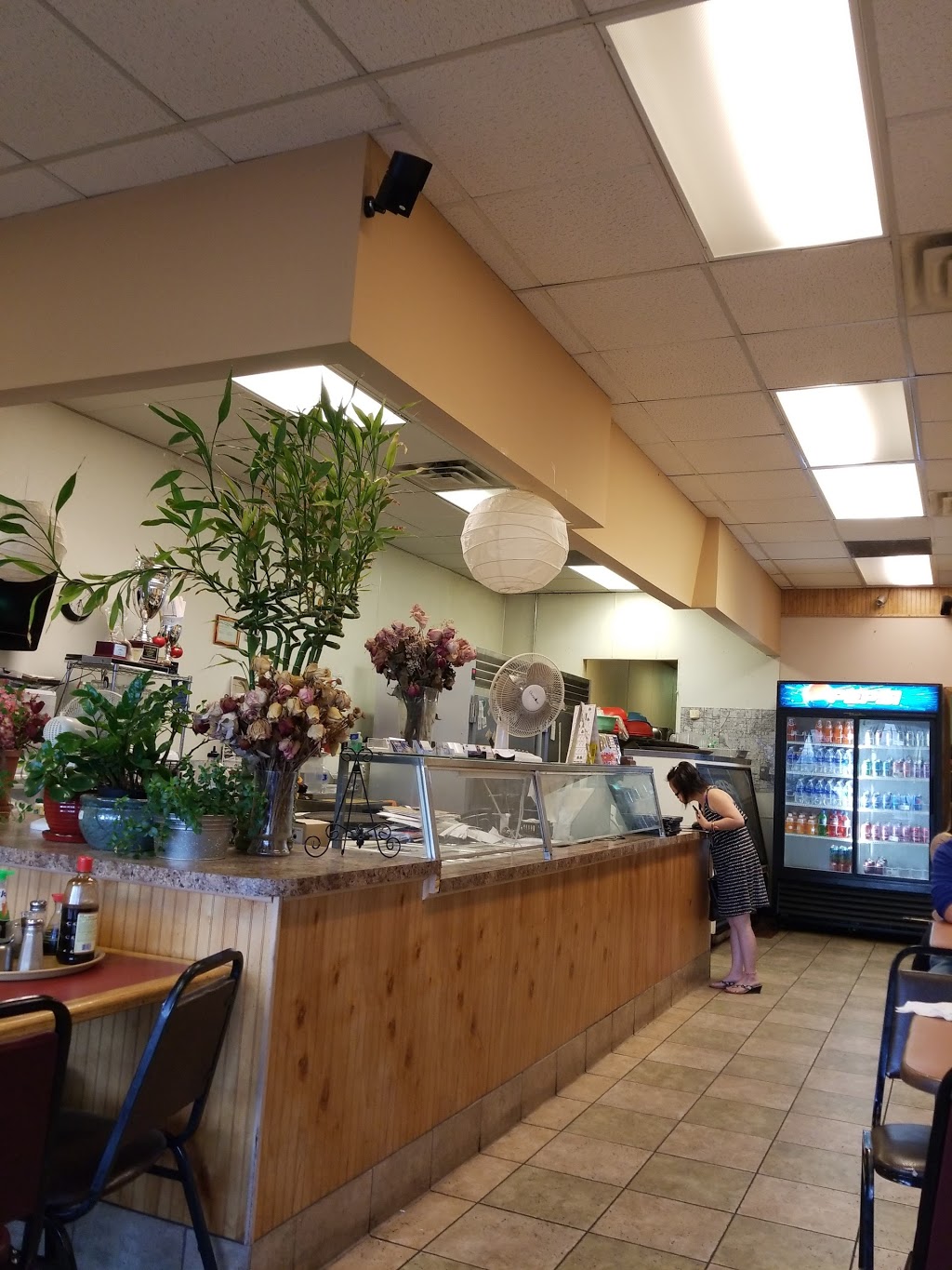 Palaces Pizza (Pho) | 1373 Maryland Ave E, St Paul, MN 55106, USA | Phone: (651) 771-3535