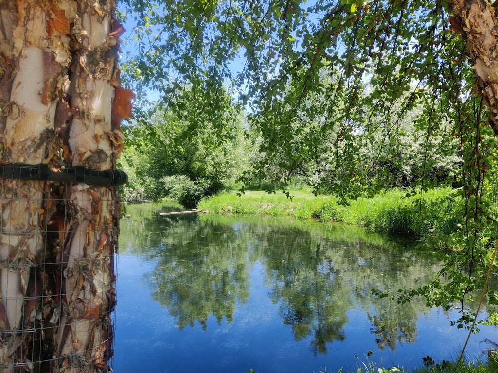 Eagle Fish Hatchery - Idaho Fish and Game | 1800 Trout Rd, Eagle, ID 83616, USA | Phone: (208) 939-4114