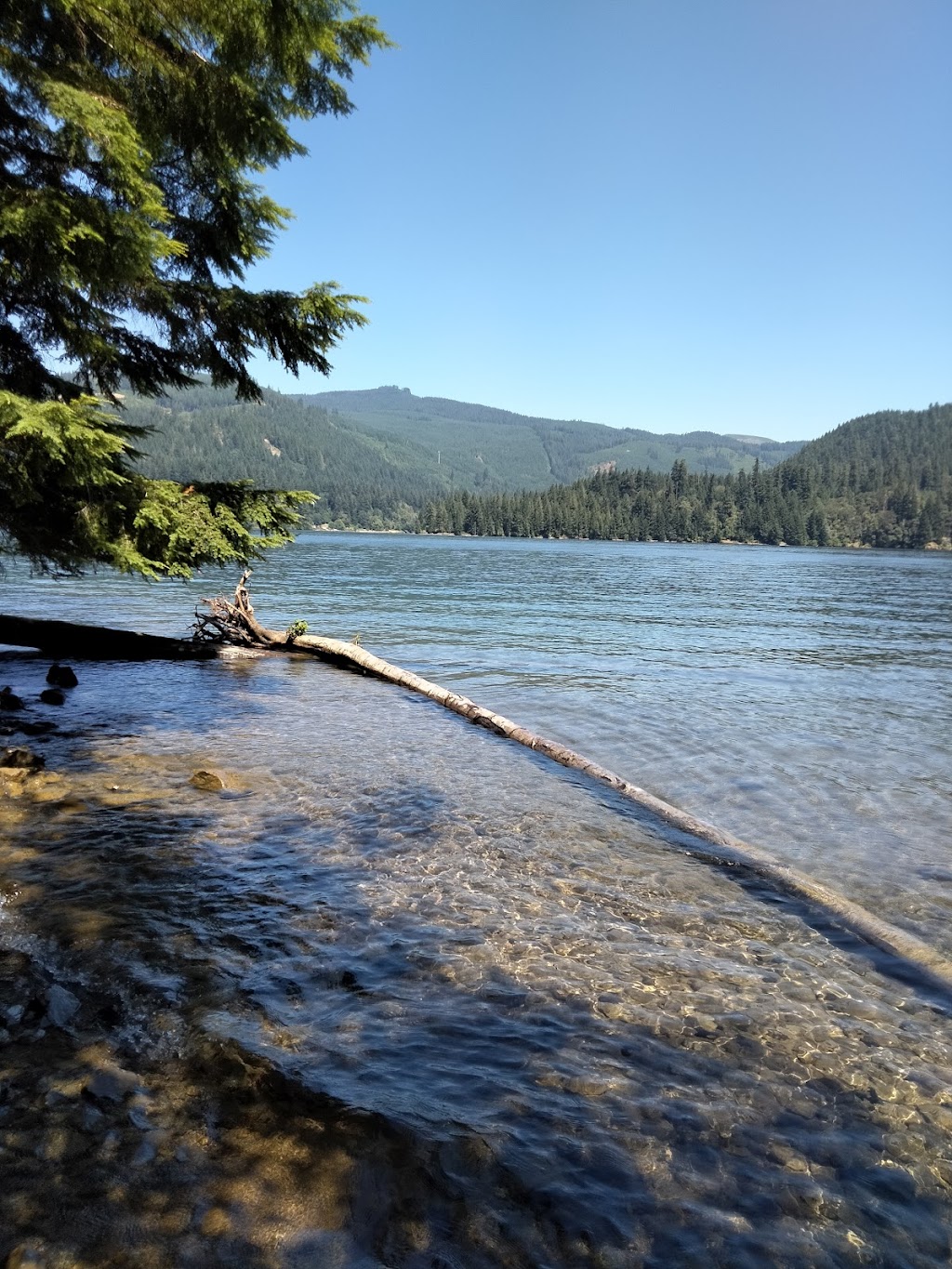 Lake Merwin Campers Hideaway | 24706 NE Columbia Tie Rd, Amboy, WA 98601 | Phone: (360) 247-5589