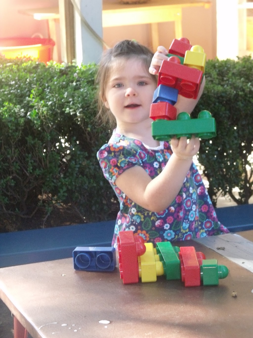 La Canada Pre-School | 4460 Oakwood Ave, La Cañada Flintridge, CA 91011, USA | Phone: (818) 790-2764