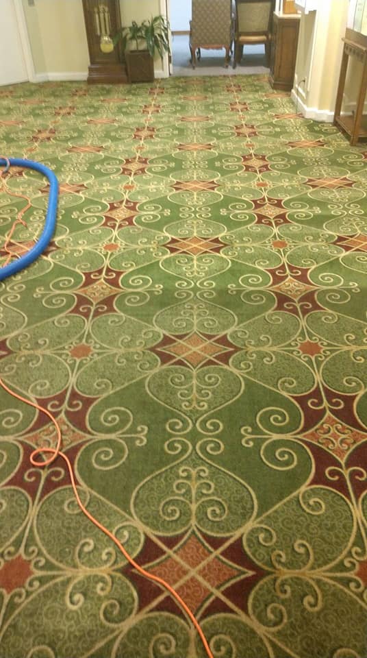 SaulClean - Carpet & Rug Dyeing | 1302 Lyons Rd, Centerville, OH 45458, USA | Phone: (937) 903-2123