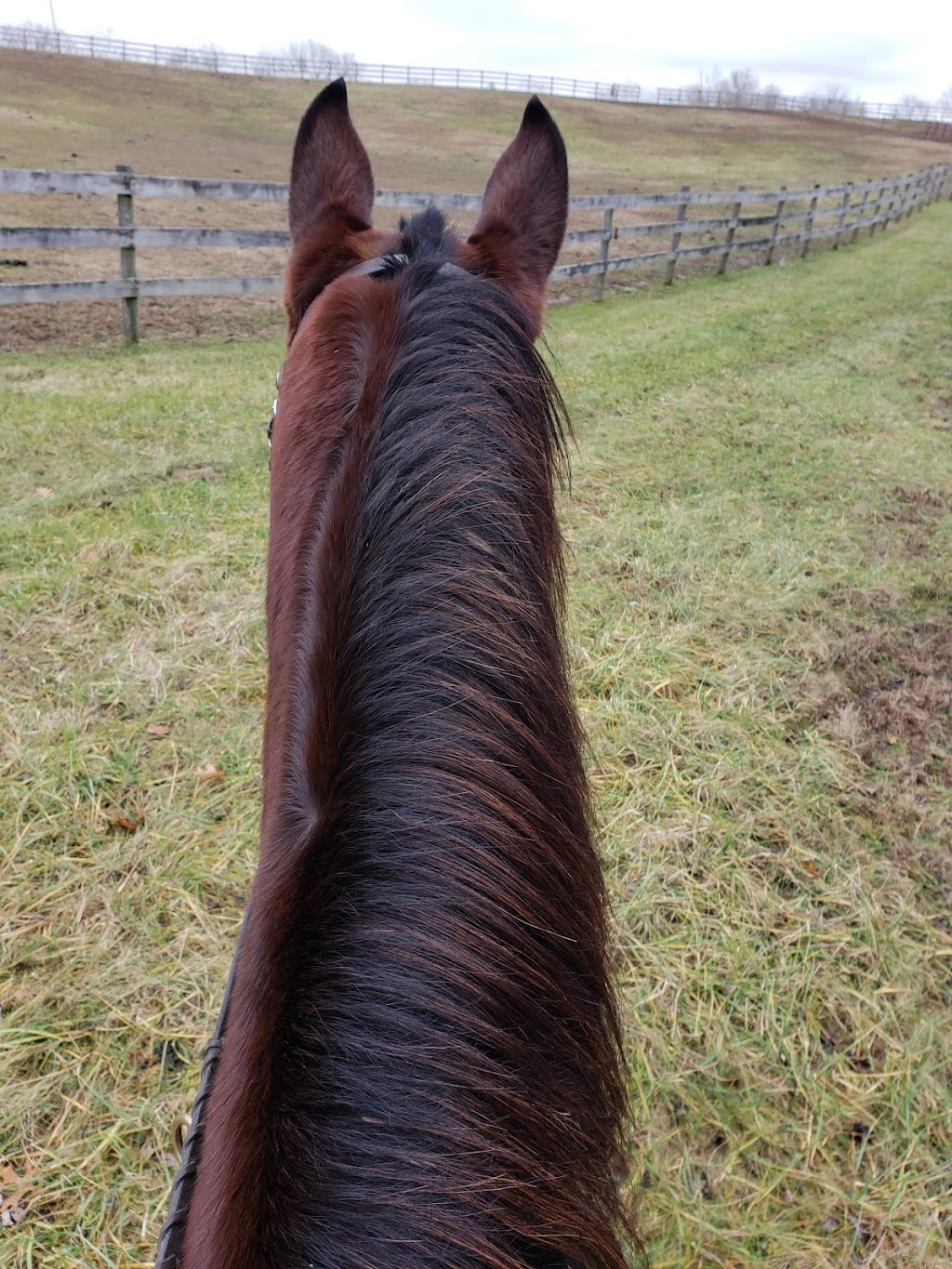 Shelby Trails Park & Red Fern Riding Center | 5063 Aiken Rd, Simpsonville, KY 40067, USA | Phone: (502) 437-4375