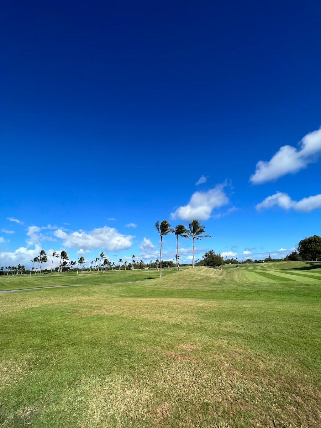 Island Pacific Golf Academy | 91-1200 Fort Weaver Rd, Ewa Beach, HI 96706, USA | Phone: (808) 393-3873