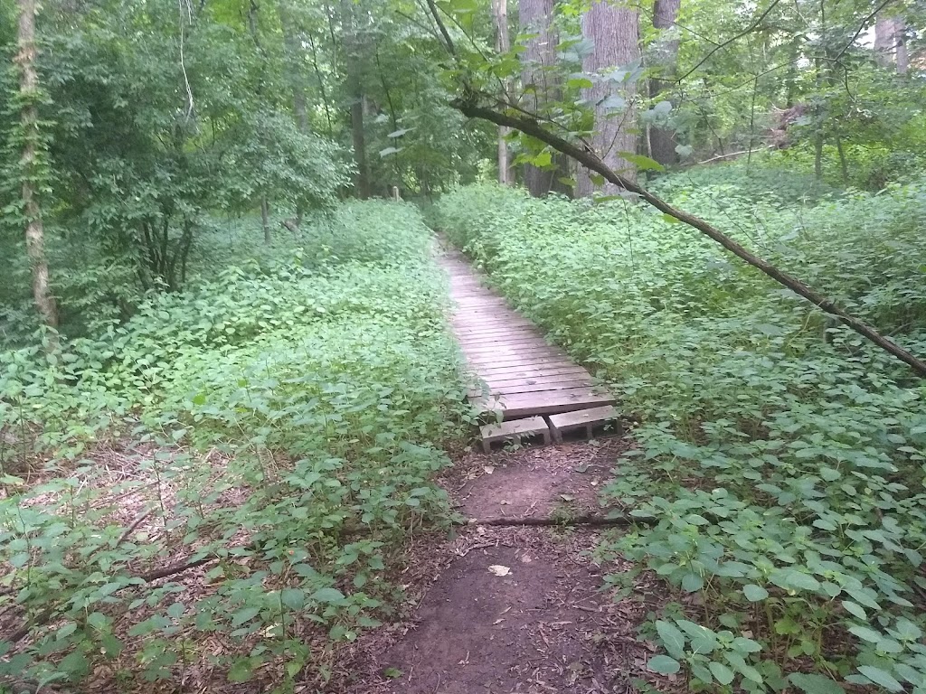 Beaver Marsh Nature Preserve | Cascadilla Street, Ambridge St, Durham, NC 27704, USA | Phone: (919) 698-9729