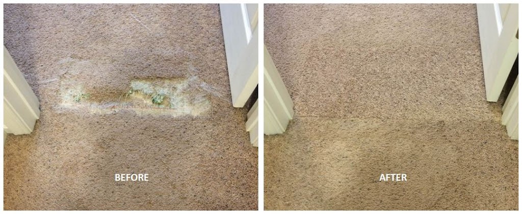 Above & Beyond Carpet Cleaning | 1361 S Main St, Wake Forest, NC 27587, USA | Phone: (919) 977-6647