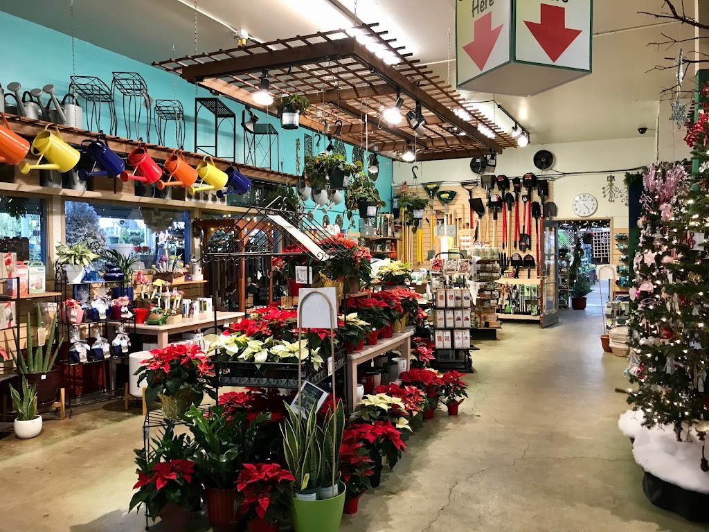 East Bay Nursery | 2332 San Pablo Ave, Berkeley, CA 94702, USA | Phone: (510) 845-6490