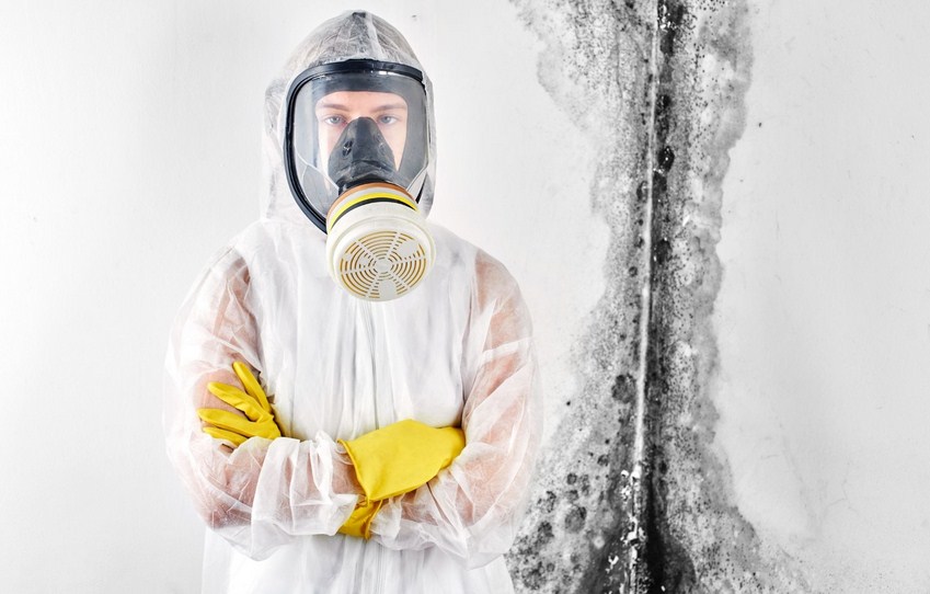 St Louis Mold Removal Pros | 746 Locust St, St. Louis, MO 63101, United States | Phone: (314) 742-7856