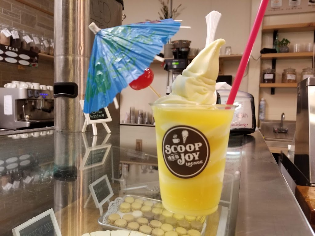 Scoop and Joy | 10135 E Vía Linda C112, Scottsdale, AZ 85258 | Phone: (480) 889-4901