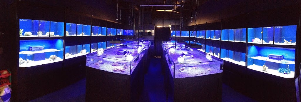 Off The Hook Marine Fish | 1200 GA-74, Peachtree City, GA 30269 | Phone: (678) 489-3063