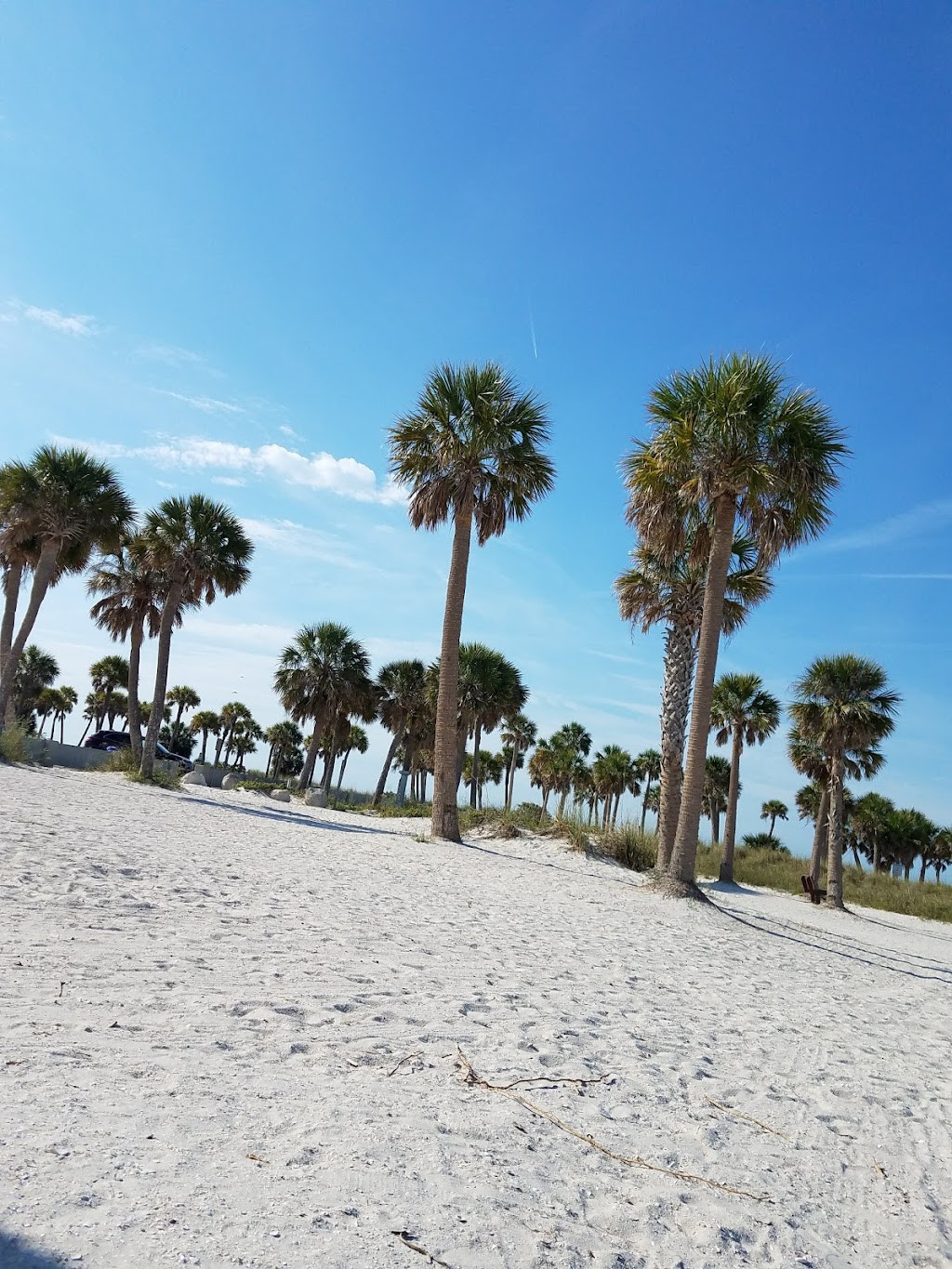 Fred Howard Park: Playground Area | 1700 Sunset Dr, Tarpon Springs, FL 34689, USA | Phone: (727) 464-3000