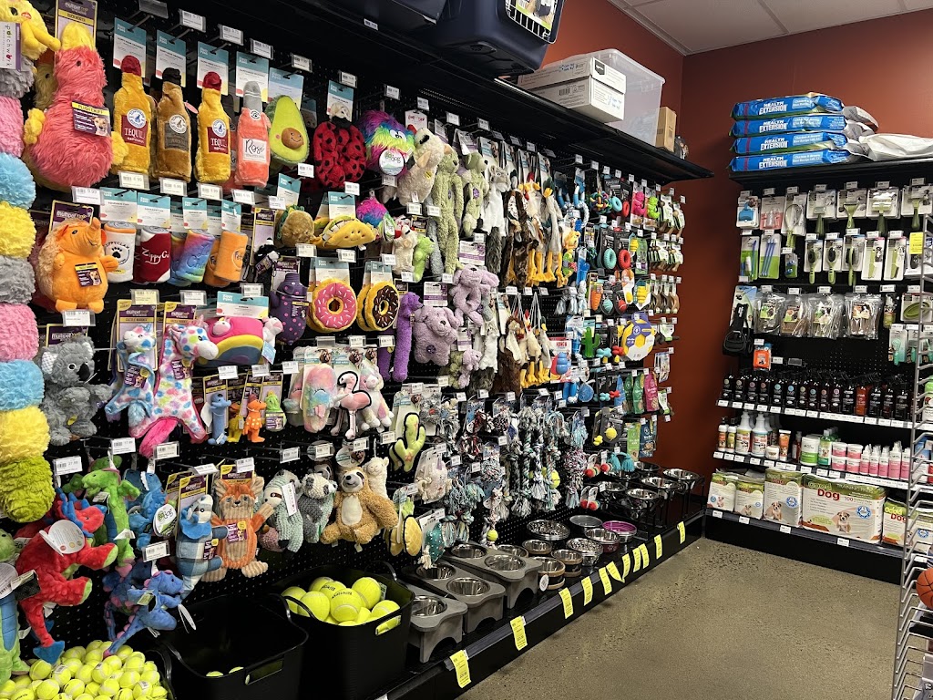 Petland Murfreesboro | 433 N Thompson Ln, Murfreesboro, TN 37129, USA | Phone: (615) 551-0797