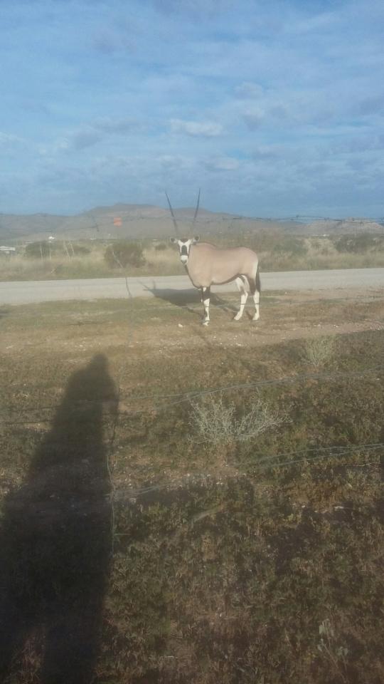 The Hueco Hacienda | 6841 Overland Stage Rd, El Paso, TX 79938, USA | Phone: (479) 305-0160