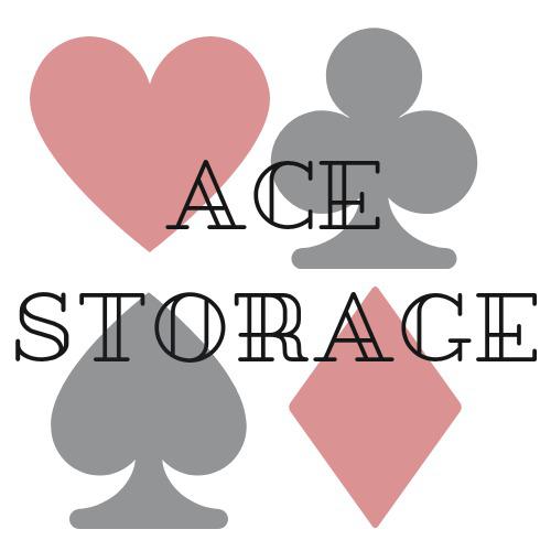 Ace Storage | 1209 TN-12, Ashland City, TN 37015, USA | Phone: (615) 246-1545