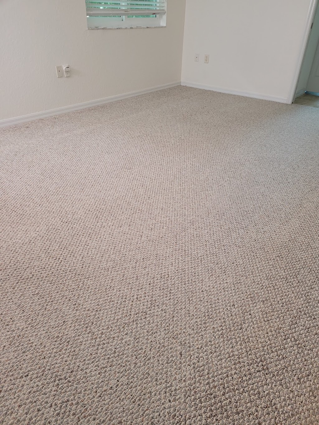 Sunshine Carpet Cleaning Spring Hill | 1320 Bishop Rd, Spring Hill, FL 34608 | Phone: (352) 556-1966