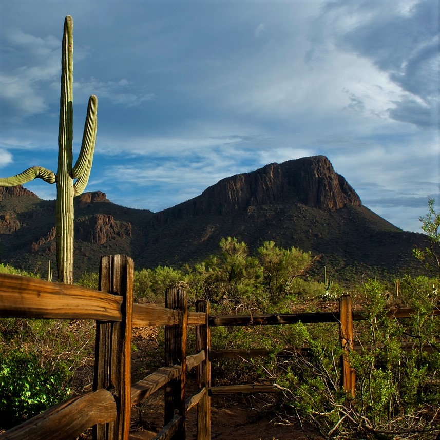 White Stallion Ranch | 9251 W Twin Peaks Rd, Tucson, AZ 85743, USA | Phone: (520) 297-0252