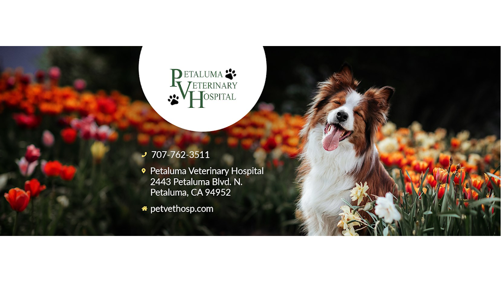 Petaluma Veterinary Hospital | 2443 Petaluma Blvd N, Petaluma, CA 94952, USA | Phone: (707) 762-3511