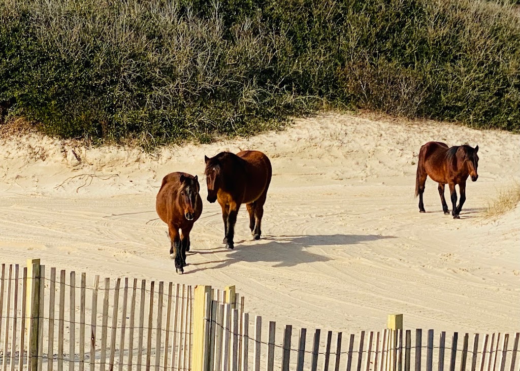 Time Fades Away OBX | 1977 Sandpiper Road Team 192, Corolla, NC 27927, USA | Phone: (252) 453-4141