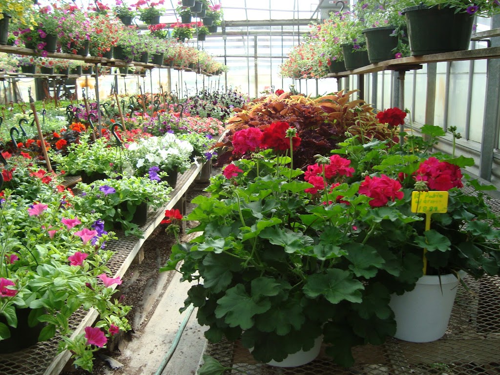 Wise Greenhouse & Floral | 4069 Tallmadge Rd, Rootstown, OH 44272, USA | Phone: (330) 325-7111