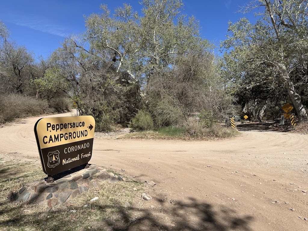 Peppersauce Campground | S Mt Lemmon Rd, Oracle, AZ 85623, USA | Phone: (520) 388-8300