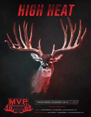 MVP Whitetails | 4400 Kaufman Rd, Kaufman, TX 75142, USA | Phone: (214) 683-9906