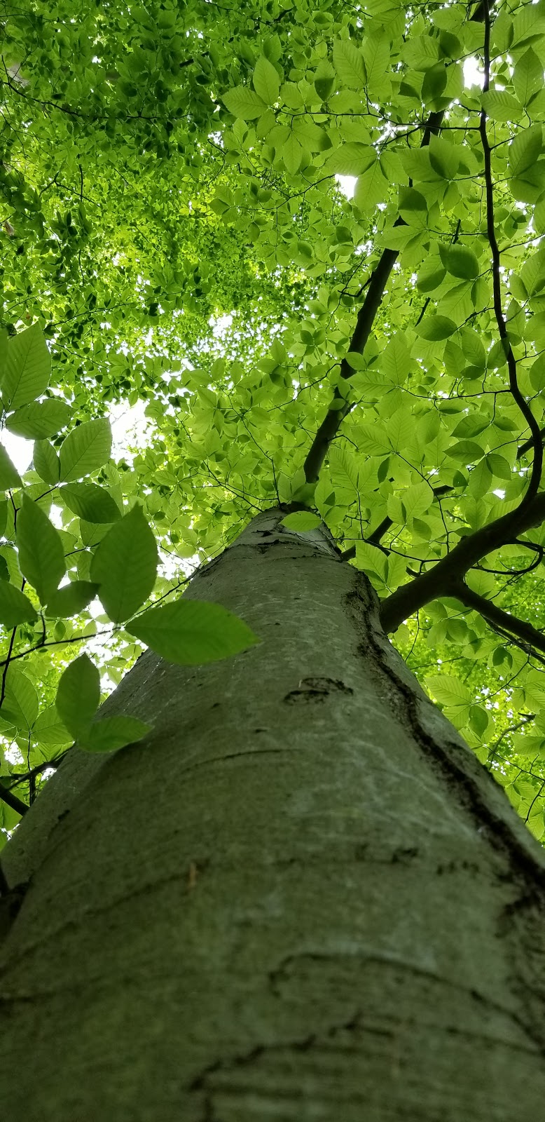 Boone County Extension Environmental & Nature Center | 9101 Camp Ernst Rd, Union, KY 41091, USA | Phone: (859) 586-6101