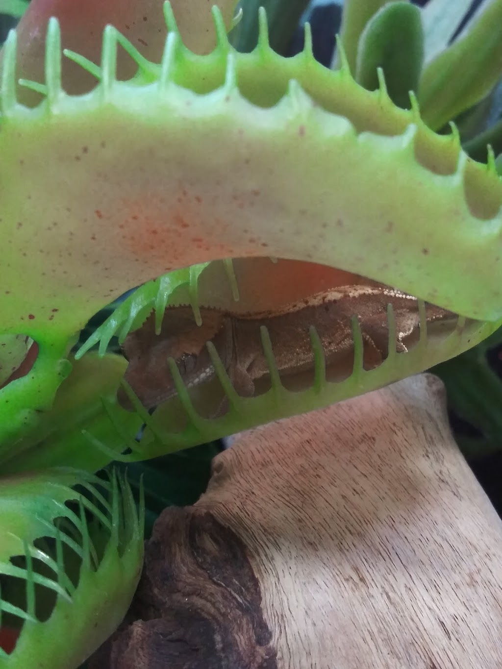 Gibbs Park | 16641 Graham St, Huntington Beach, CA 92649, USA | Phone: (714) 536-5486 Gibbs Park | 16641 Graham St, Huntington Beach, CA 92649, USA | Phone: (714) 536-5486