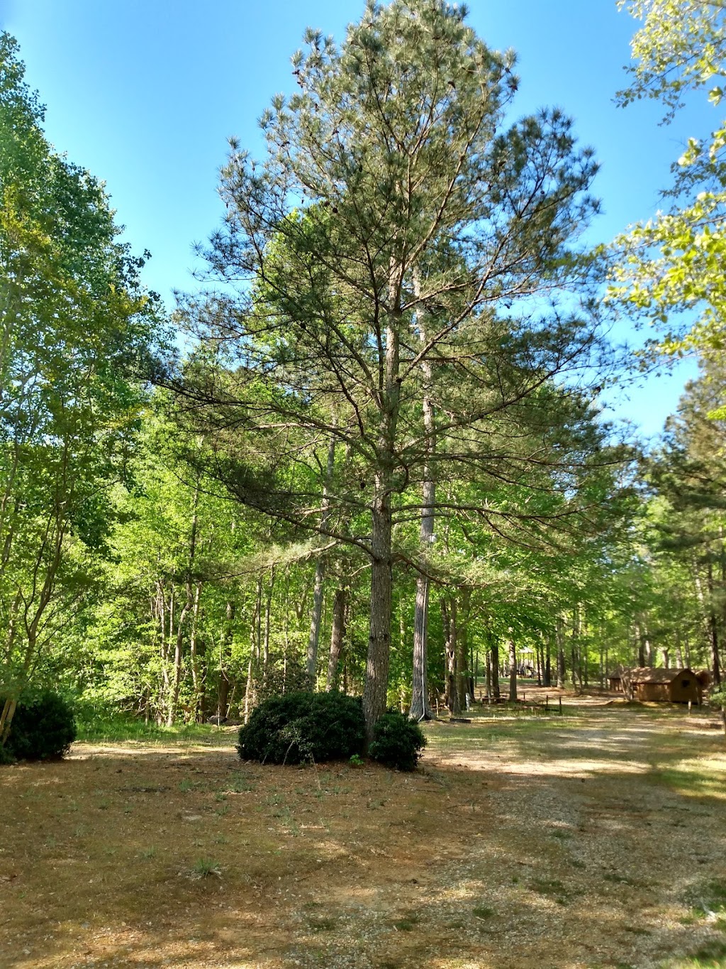 The Williamsburg Campground | 5210 Newman Rd, Williamsburg, VA 23188, USA | Phone: (757) 565-0230