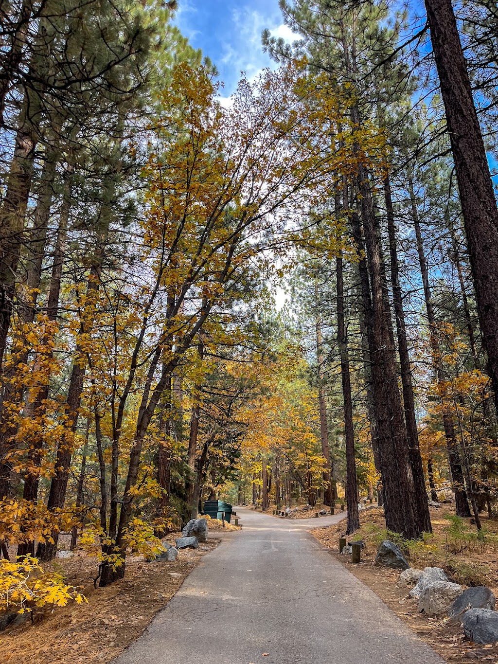 Pineknot Campground | Summit Blvd, Big Bear, CA 92314, USA | Phone: (909) 866-8550