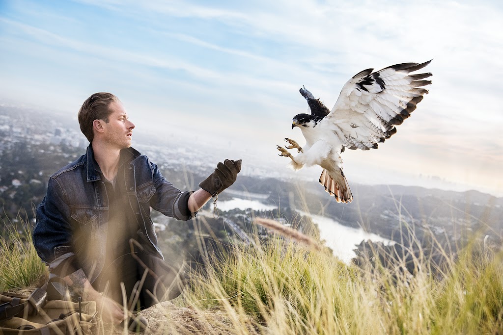 Hawk On Hand Falconry | 4235 Monterey Rd, Los Angeles, CA 90032, USA | Phone: (845) 532-5401