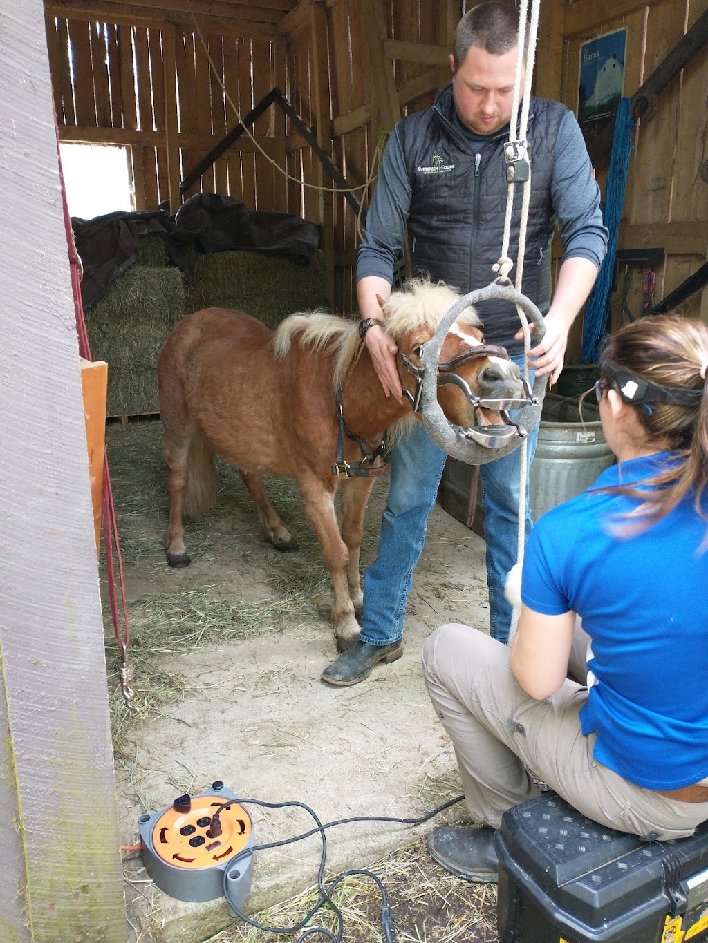 Evergreen Equine Veterinary Practice | 1924 Bickford Ave Ste. 101, Snohomish, WA 98290, USA | Phone: (360) 568-1114