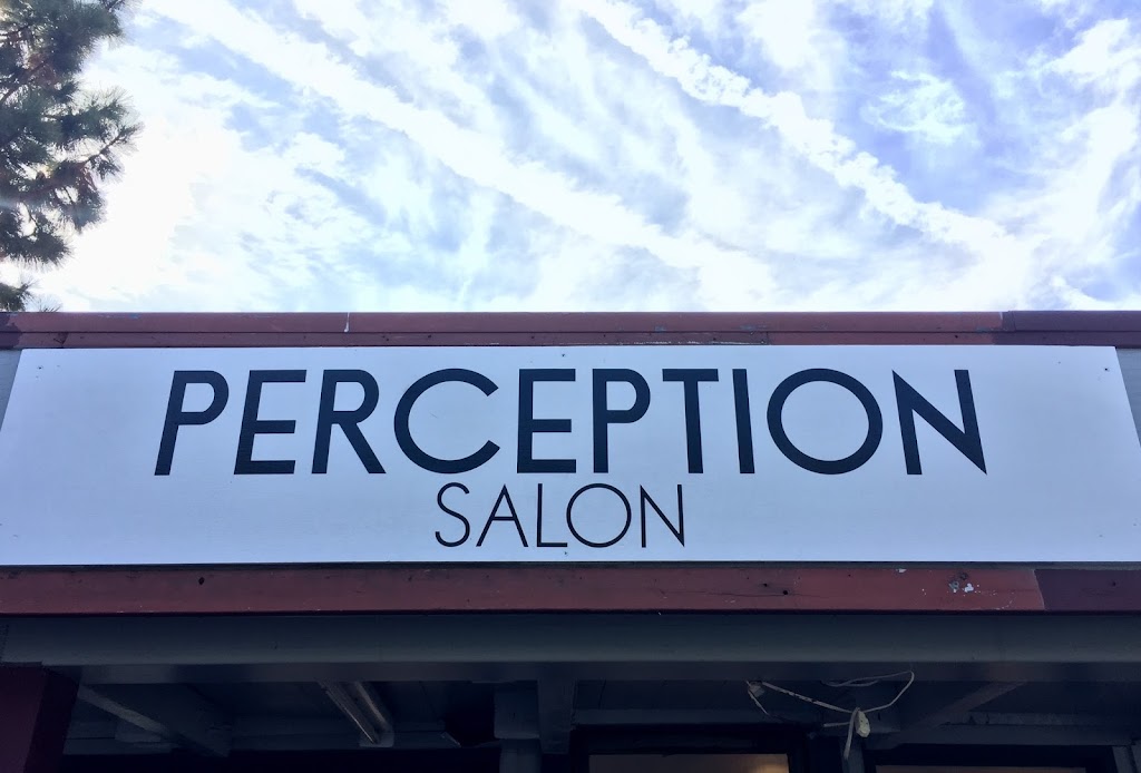 Perception Salon | 774 Mays Blvd Unit 14, Incline Village, NV 89451, USA | Phone: (775) 413-5155