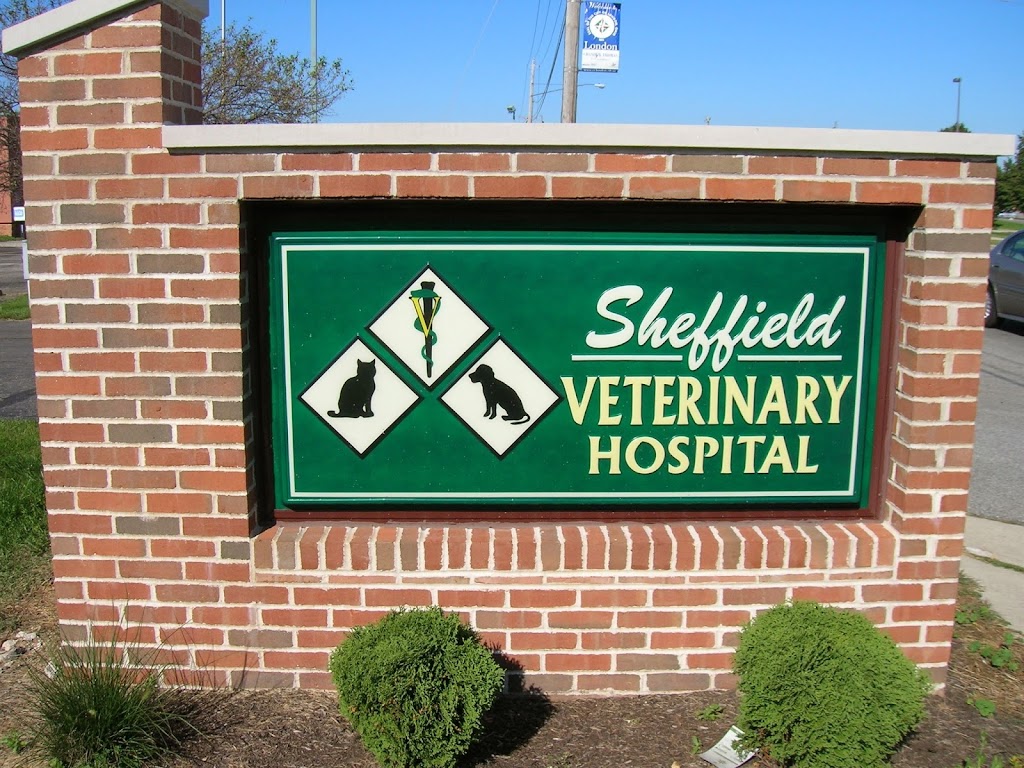 Sheffield Veterinary Hospital | 221 Lafayette St, London, OH 43140, USA | Phone: (740) 852-9151