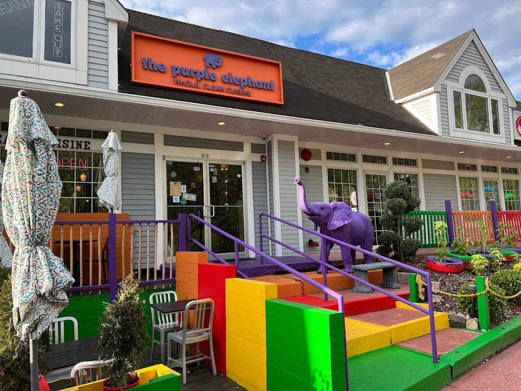 The Purple Elephant | 81b W Fort Salonga Rd, Northport, NY 11768, USA | Phone: (631) 651-5002
