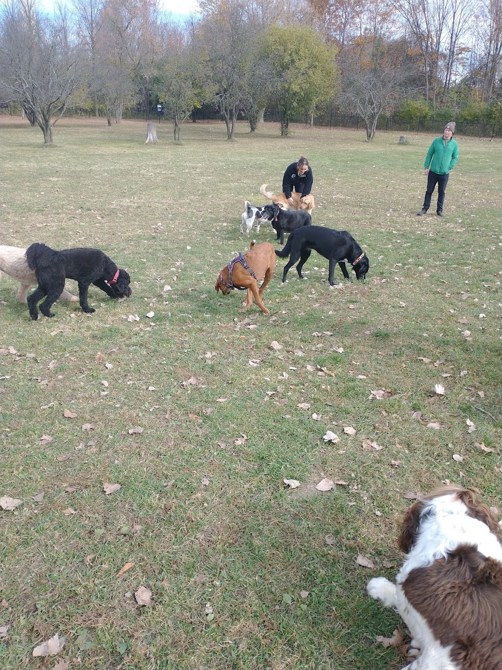 Northville Dog Park | 15801 Beck Rd, Northville, MI 48167, USA | Phone: (248) 349-0203