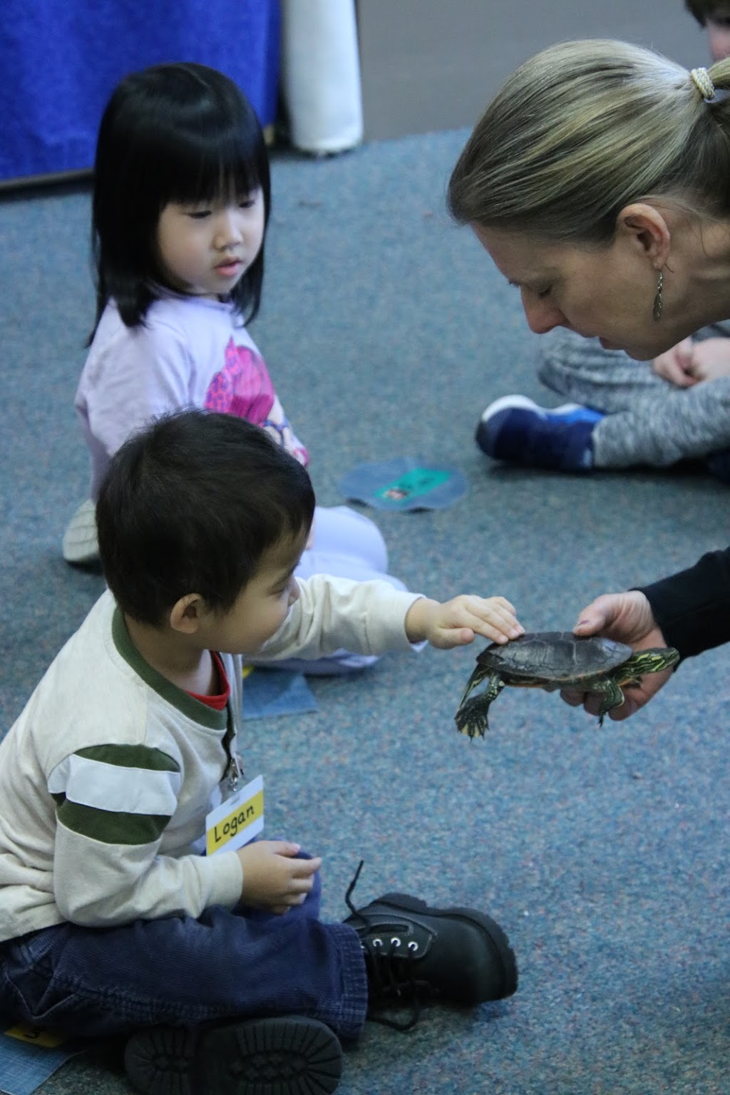 Arbor View Early Childhood Center | 9401 Fernbrook Ln N, Maple Grove, MN 55369, USA | Phone: (763) 391-8777