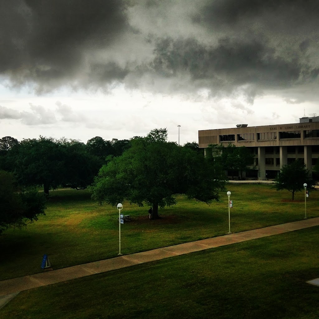 Earl K. Long Library | 2000 Lakeshore Dr, New Orleans, LA 70148, USA | Phone: (504) 280-6355