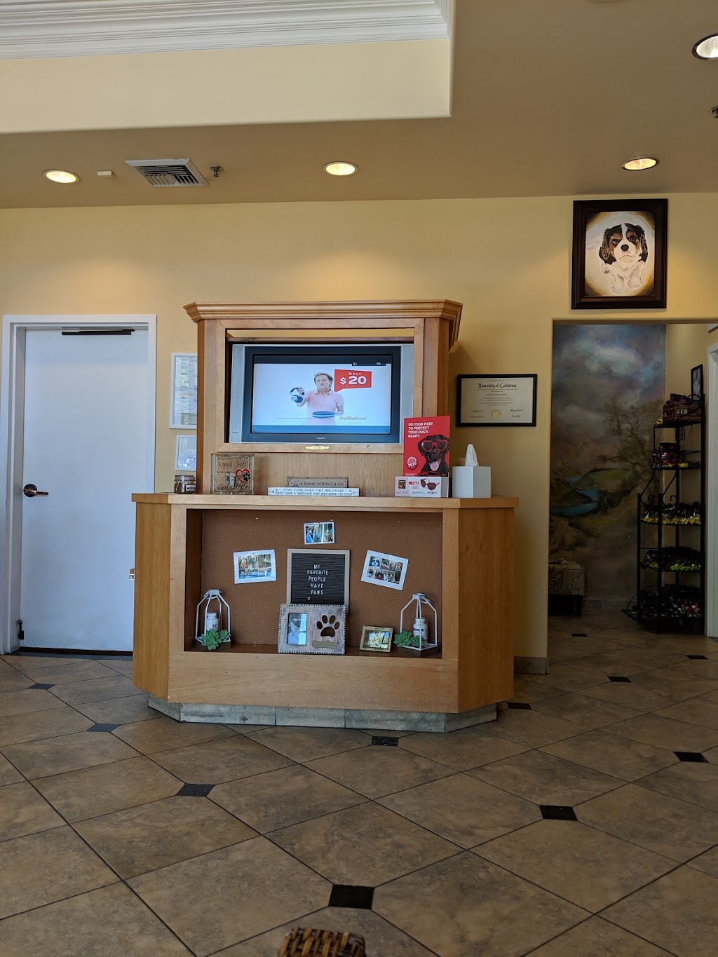 Doctors Pet Clinic | 25182 Hancock Ave, Murrieta, CA 92562, USA | Phone: (951) 698-7387