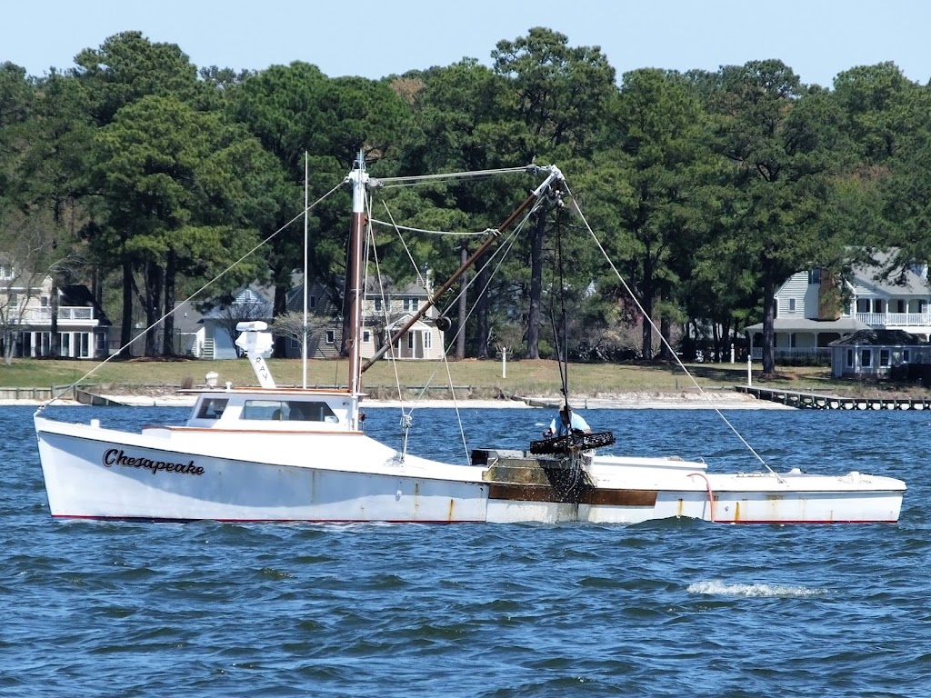Williamsburg Charter Sails | 8109 Yacht Haven Rd, Gloucester Point, VA 23062 | Phone: (757) 876-8654