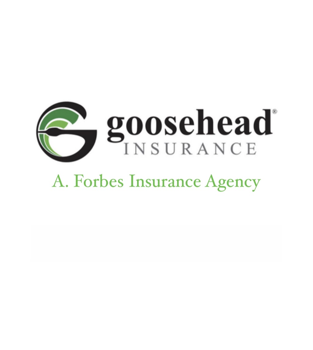 Goosehead Insurance - A. Forbes Insurance Agency | 2520 Packard St, Ypsilanti, MI 48197, USA | Phone: (734) 995-5223