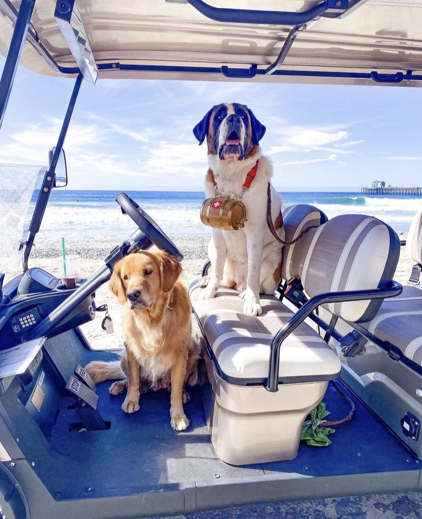 Beach Vibe Rentals & Sales LLC - Golf Cart & E-bikes | 2721 Carlsbad Blvd, Carlsbad, CA 92008, USA | Phone: (760) 994-0760