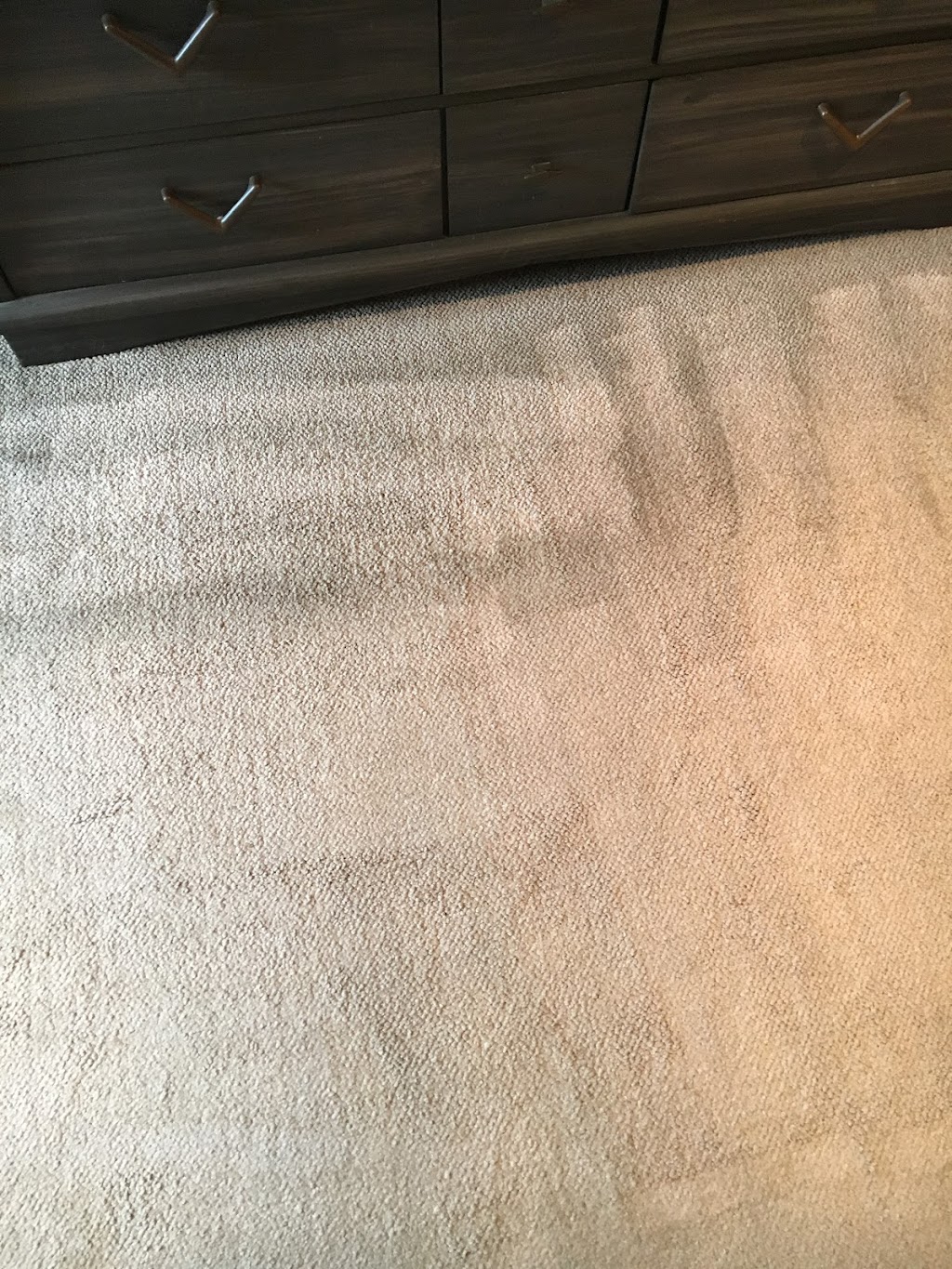 PRIUS CARPET CLEANING 24/7 | 20201 Sherman Way #203, Winnetka, CA 91306, USA | Phone: (323) 500-0818