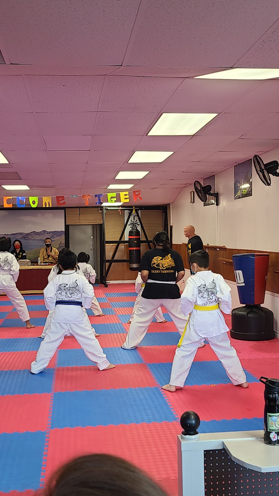 Tigers Tae Kwon Do | 6448 Westminster Blvd., Westminster, CA 92683, USA | Phone: (714) 222-3903