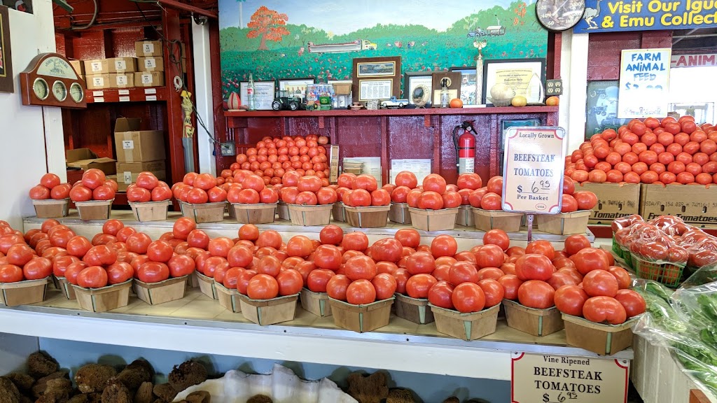 Robert Is Here Fruit Stand | 19200 SW 344th St, Homestead, FL 33034 | Phone: (305) 246-1592