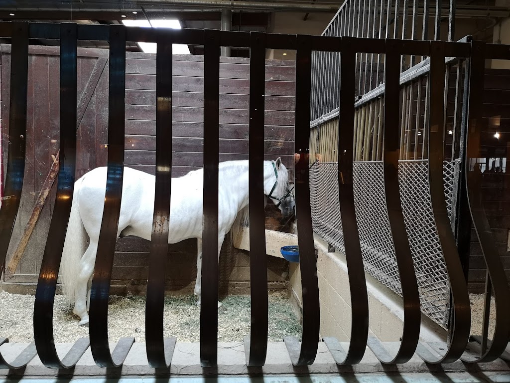 Medieval Times Dinner & Tournament | 7662 Beach Blvd, Buena Park, CA 90620, USA | Phone: (888) 935-6878 Medieval Times Dinner & Tournament | 7662 Beach Blvd, Buena Park, CA 90620, USA | Phone: (888) 935-6878