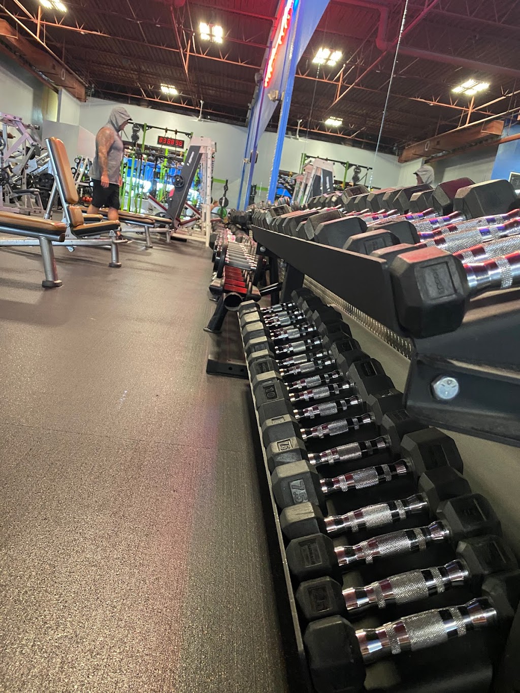 Family Fitness Centers Dunedin | 2646 Bayshore Blvd, Dunedin, FL 34698 | Phone: (727) 485-9416