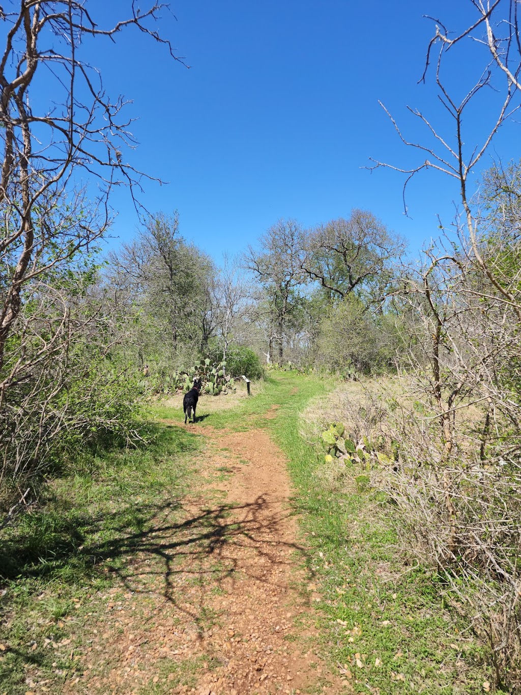 Lockhart State Park | 2012 State Park Rd, Lockhart, TX 78644, USA | Phone: (512) 398-3479