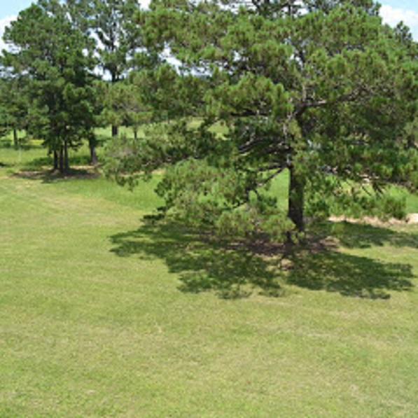 Trails End Ranch, LLC | 182 Little Ranch Rd, Red Rock, TX 78662, USA | Phone: (512) 988-9825