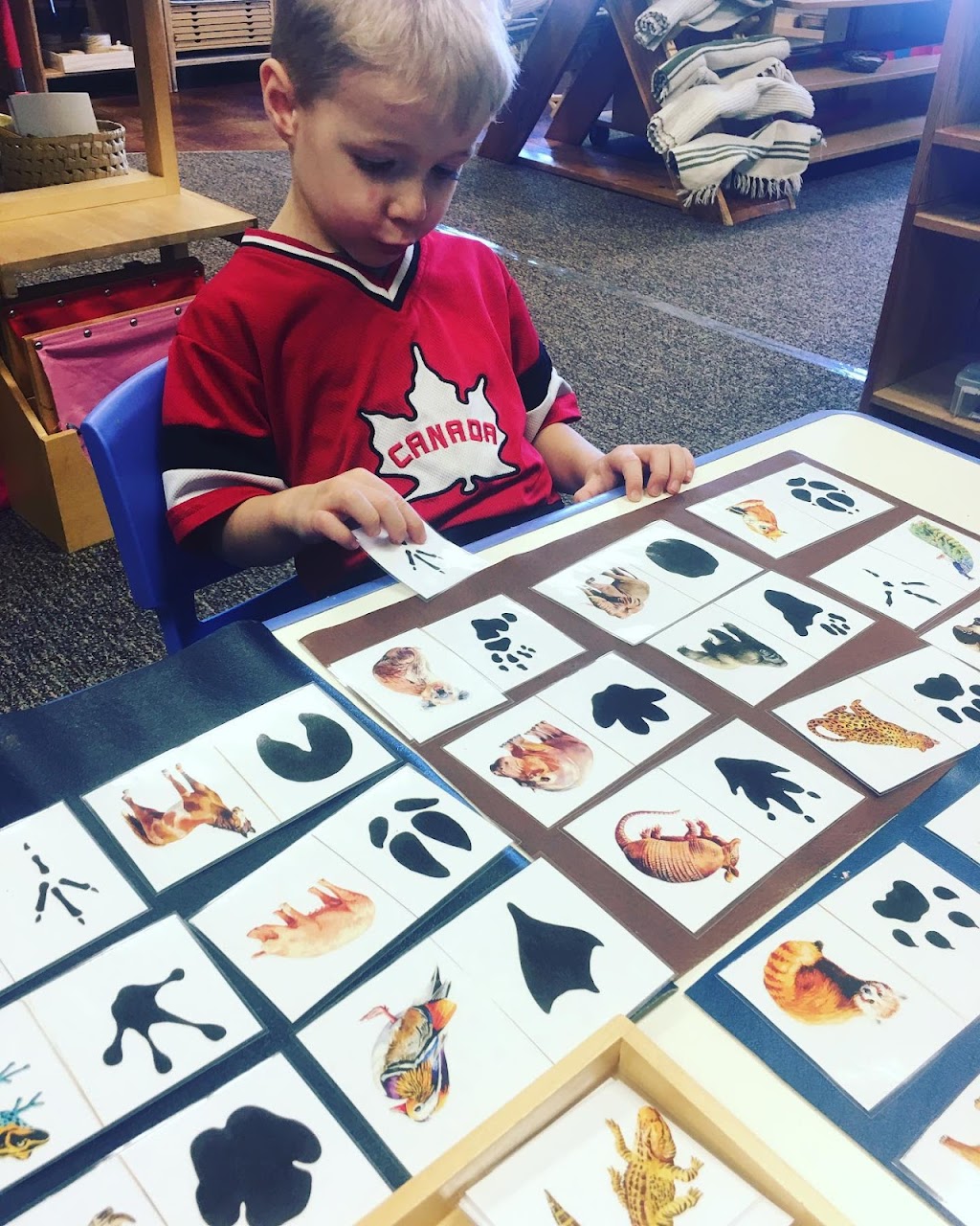 Sonnet Montessori & Childcare | 4637 Park Nicollet Ave SE, Prior Lake, MN 55372, USA | Phone: (952) 226-6675