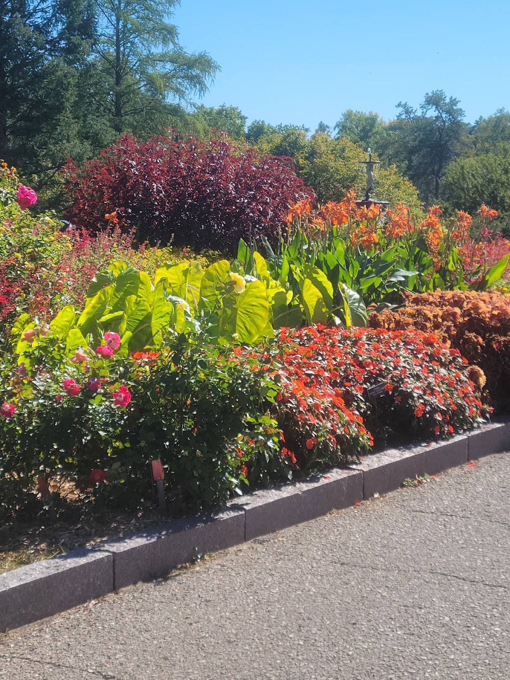 Tashjian Bee and Pollinator Discovery Center | 3210 W 82nd St, Chanhassen, MN 55317, USA | Phone: (612) 301-3486