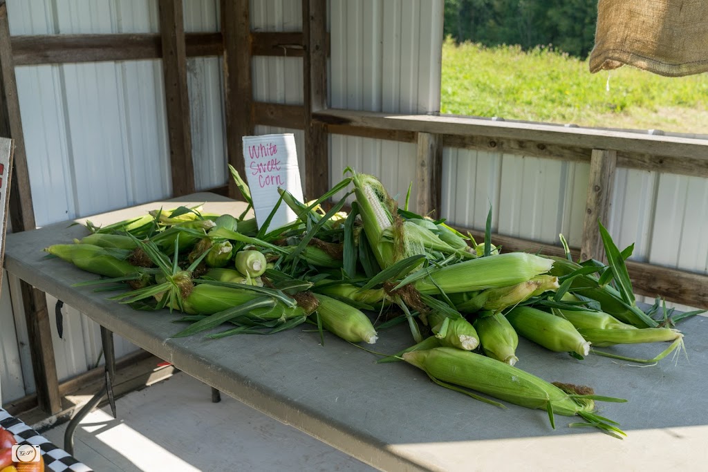 Gysland Brothers Farm | 486 220th St W, Jordan, MN 55352, USA | Phone: (952) 913-5553